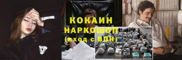 mix Богородск