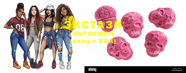 гашик Богданович