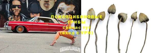 тгк Беломорск