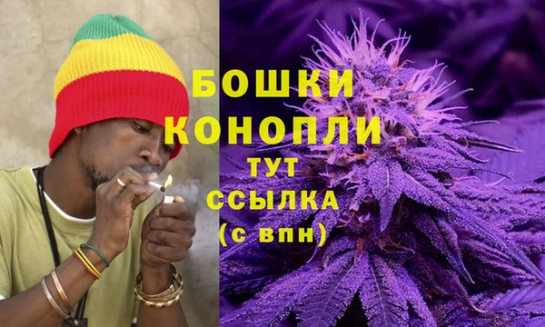 тгк Беломорск