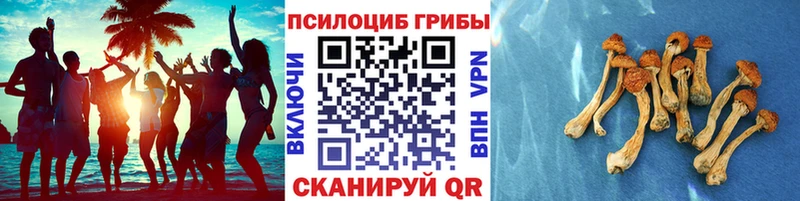 Псилоцибиновые грибы ЛСД Свирск